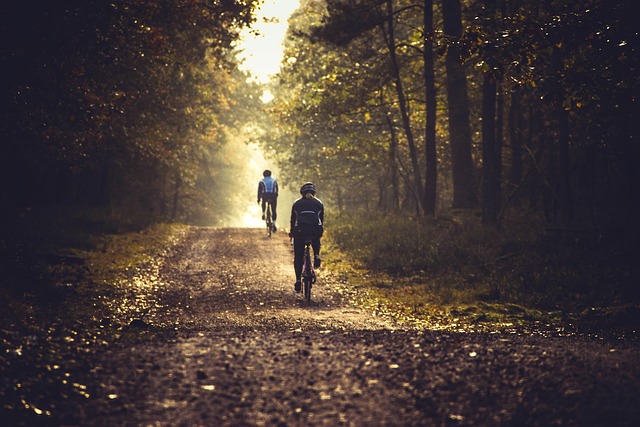 cyklistika na Třeboňsku